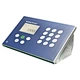 weigh bridge indicator